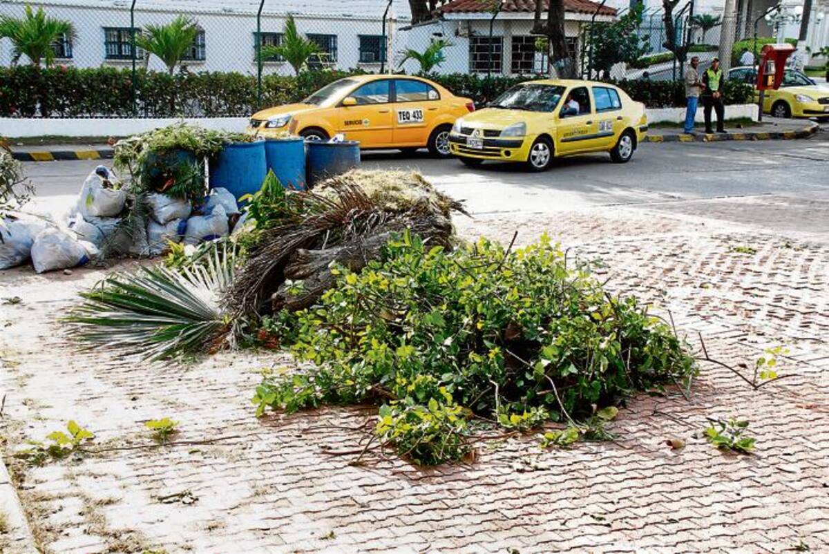 Cada vez que llega las temporadas altas de descansos y vacaciones el Parque Flánagan es convertido en punto de concentración de basuras.