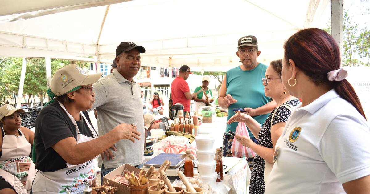The sales generated by the rural markets in Los Calamares, Buenos Aires, and Olaya