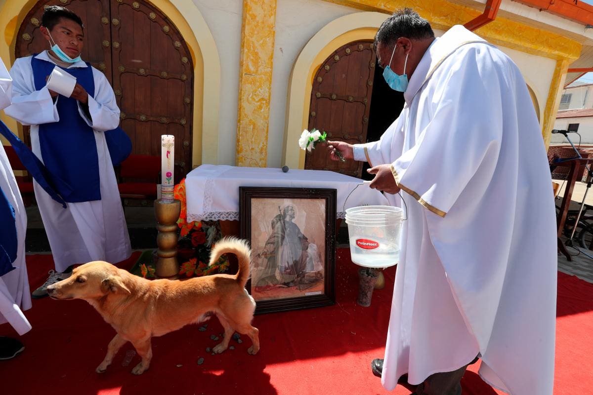 Bolivia: Una misa para bendecir a los perros en el Día de San Roque