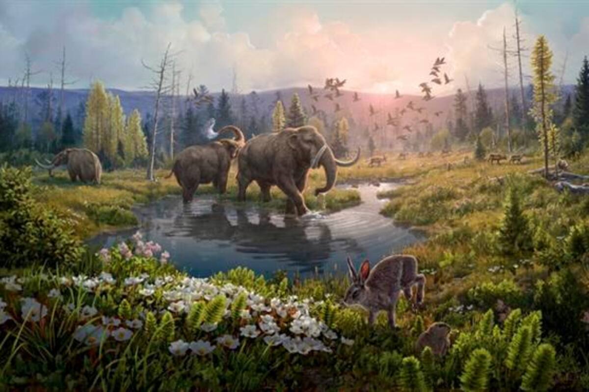 Científicos reconstruyen ecosistema que existió hace 2 millones de años