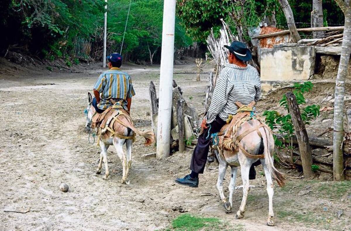 Ruta que conduce del corregimiento de El Salado en El Carmen de Bolívar hacia la vereda El Bálsamo. JULIO CASTAÑO - EL UNIVERSAL