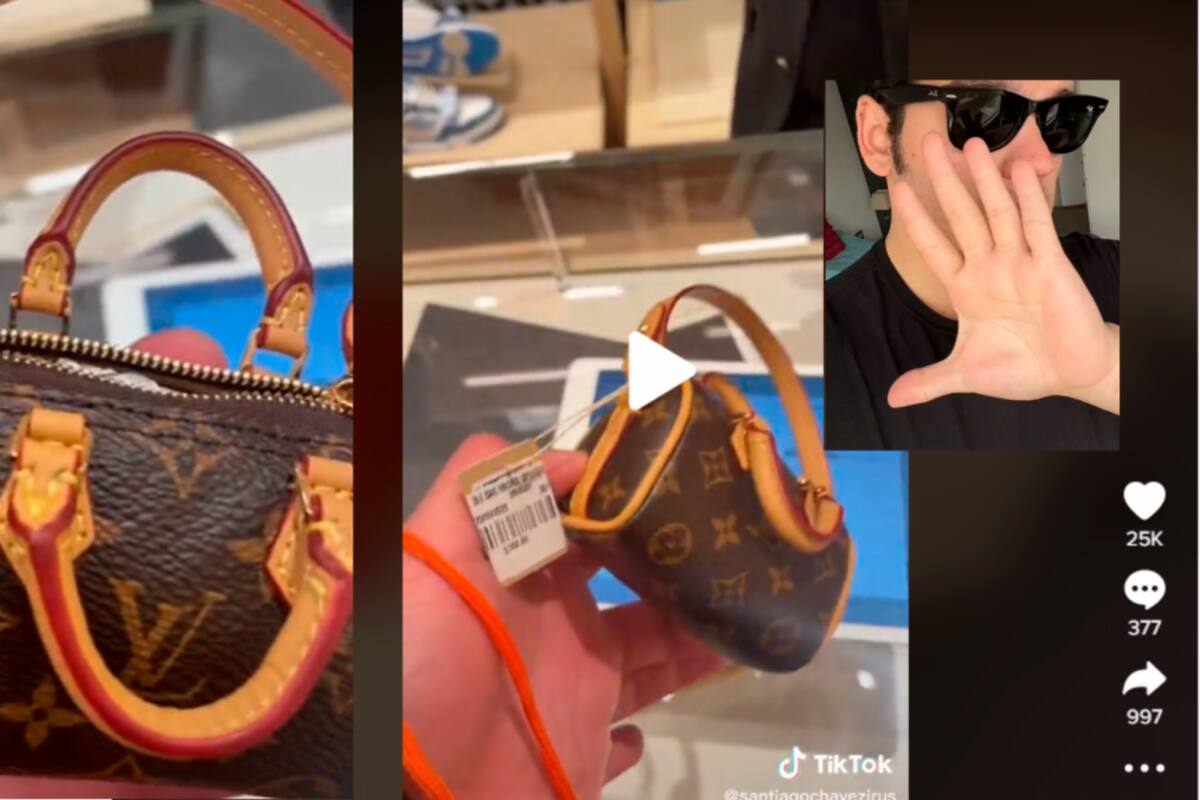 ¿Pagarías 4 millones por un bolso Louis Vuitton para recoger popó de mascota?