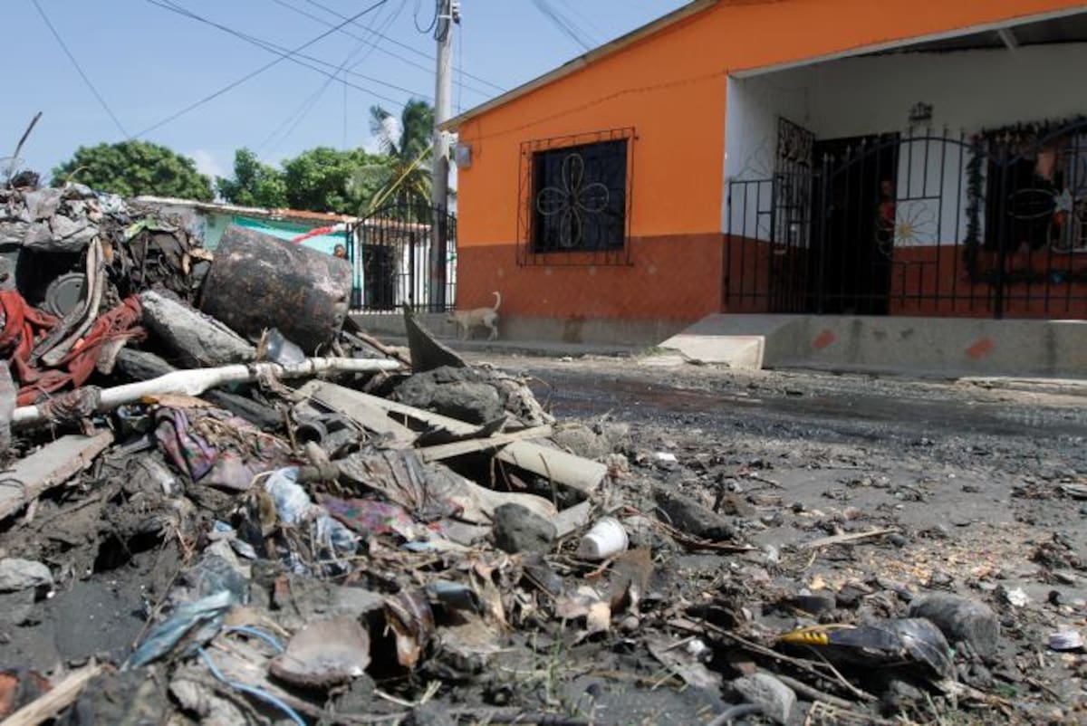 El director de Cardique, Olaff Puello Castillo, precisó que se vienen realizando actividades de control y seguimiento a los entes territoriales en diferentes temáticas ambientales. ARCHIVO