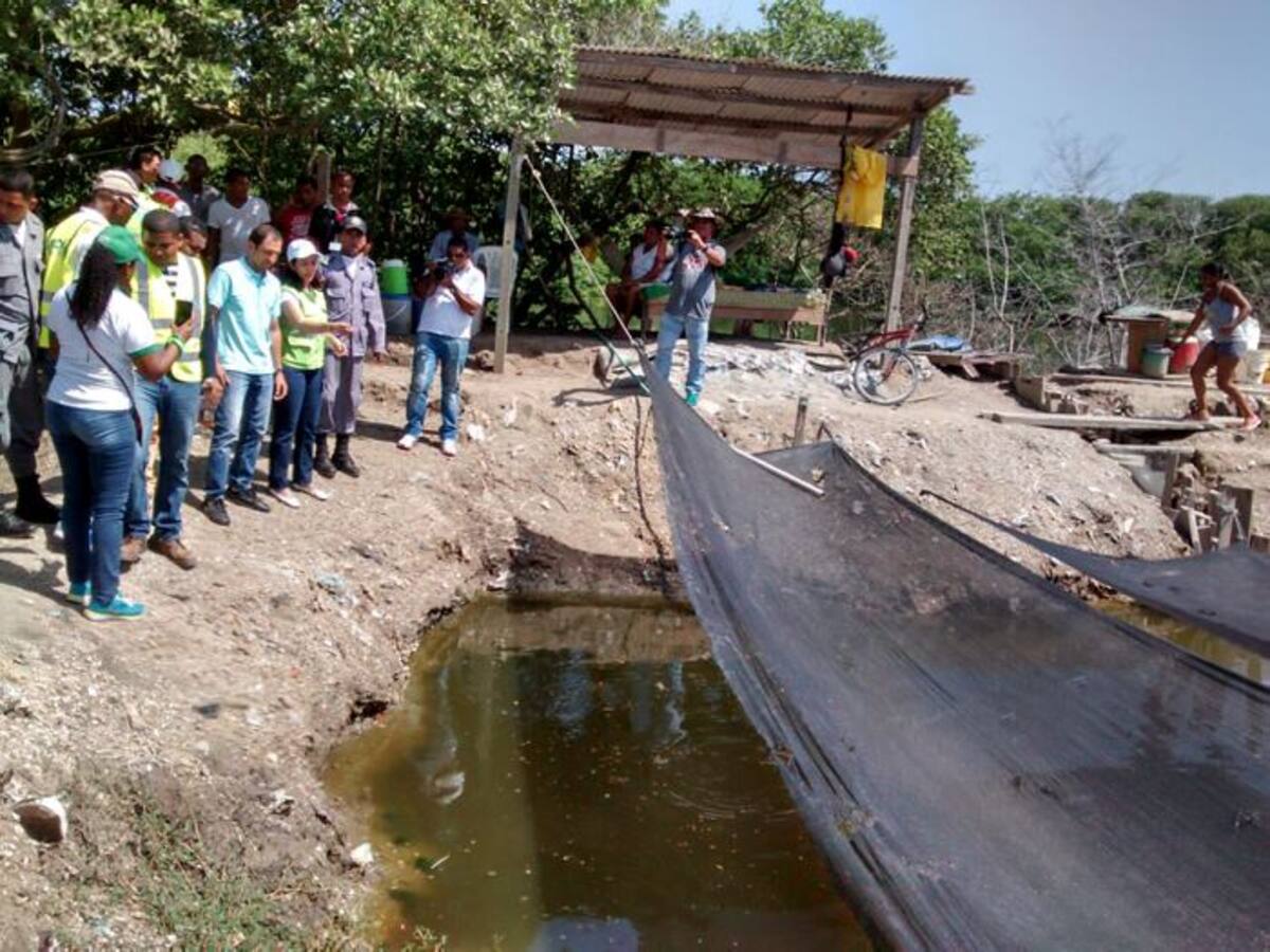 Los peces serán devueltos a su hábitat. CORTESÍA