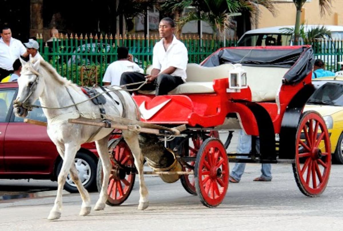 Este es el tradicional coche, en el que los turistas pasean por el Centro Histórico y sector turístico de Bocagrande. KAILLINE GIRALDO/ELUNIVERSAL