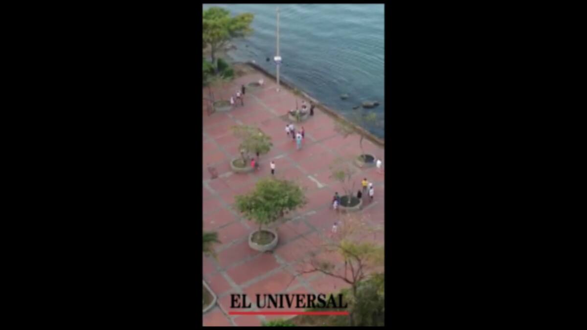 La música viene de grupos de personas que se reúnen a hacer ejercicio y no tienen en cuenta la hora para ponerla a todo volumen. EL UNIVERSAL
