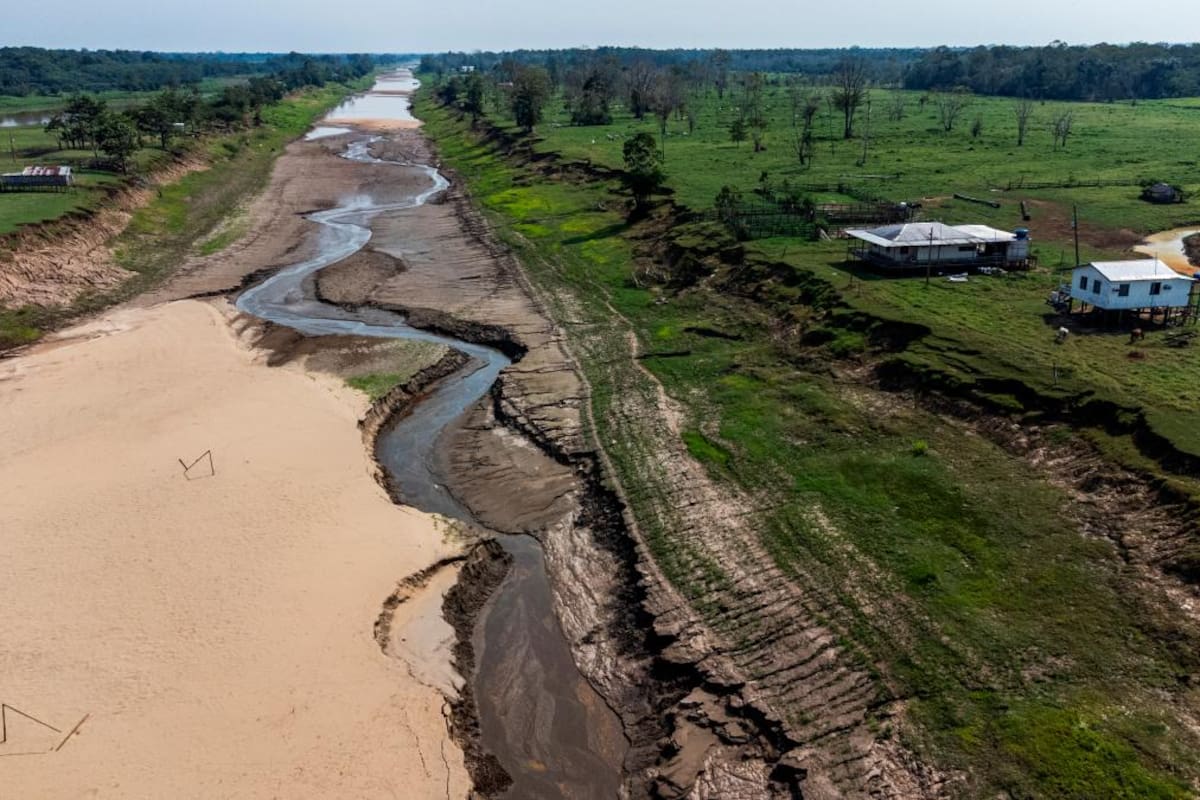 Brasil: severa sequía en la Amazonía afecta a 633.000 personas y 62 ciudades