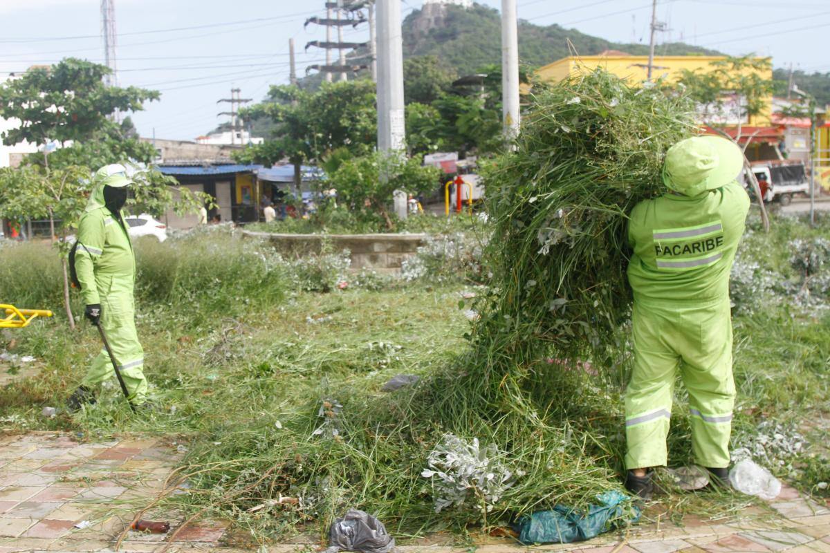 ¡Qué rápida respuesta! Ya no hay ‘selva’ en la glorieta