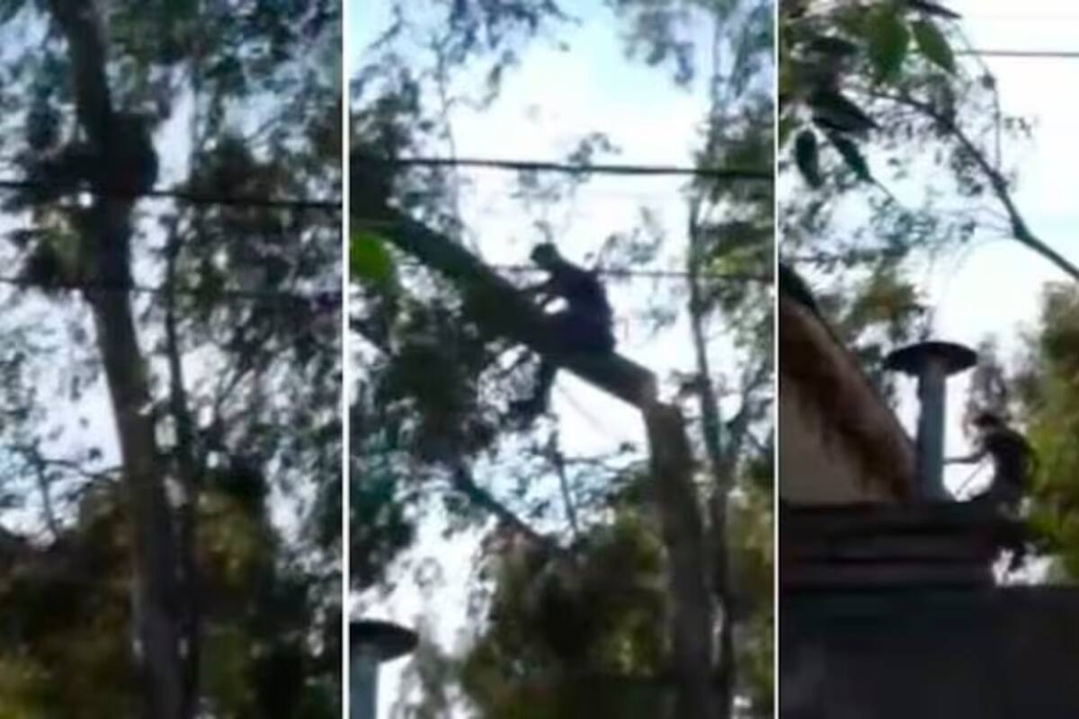 Video: hombre cayó más de 10 metros de altura y se salvó de milagro