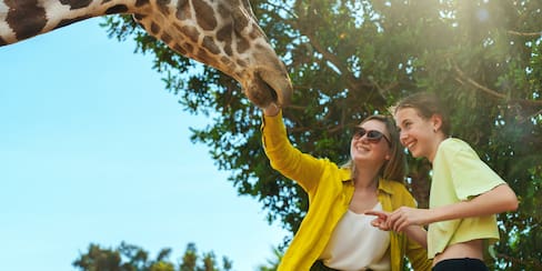 Turismo de naturaleza: estos son los 9 zoológicos más impactantes del mundo