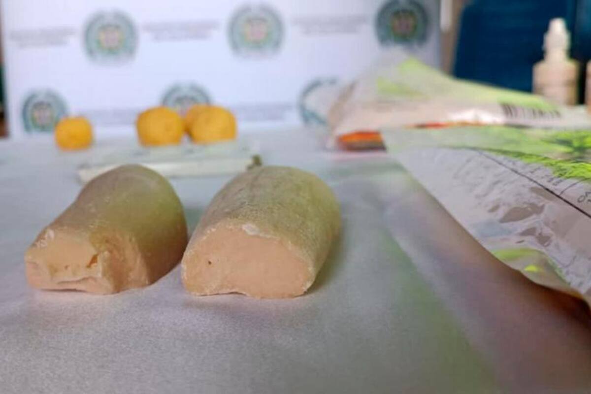 En papa criolla y yuca iban a enviar cocaína desde Cartagena a España
