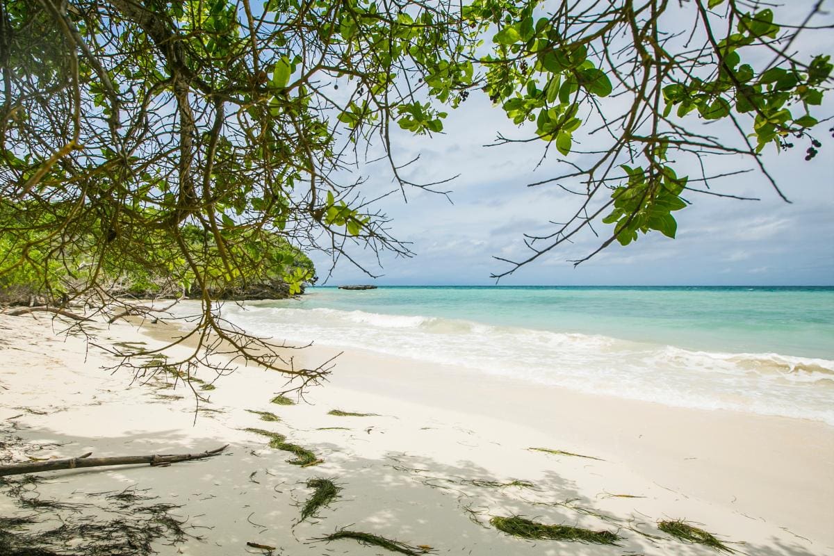 Esta es la hoja de ruta para proteger las islas del Rosario y San Bernardo