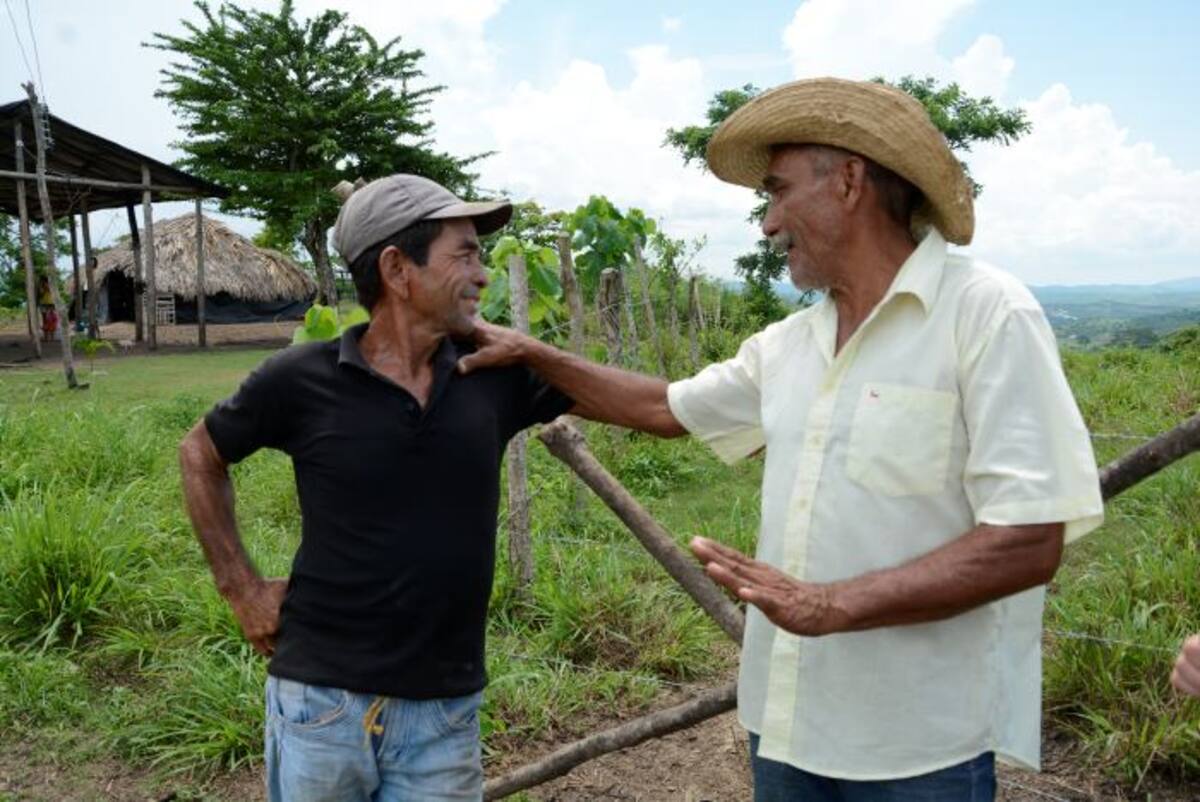 Solo el 3 % de los campesinos accede a créditos debido al incipiente acompañamiento que tienen. El plan busca mejorar sus condiciones. ARCHIVO