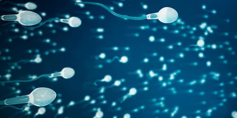 Calidad del semen, clave en la fertilidad