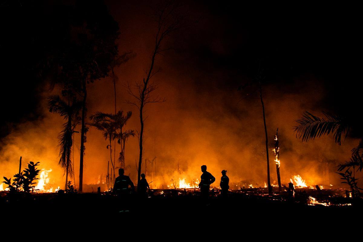 La peor cifra desde 2016: Amazonía brasileña registra 8.977 incendios en 2024