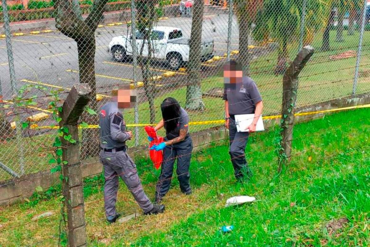 Mientras cortaban el monte, trabajadores encuentran una cabeza humana
