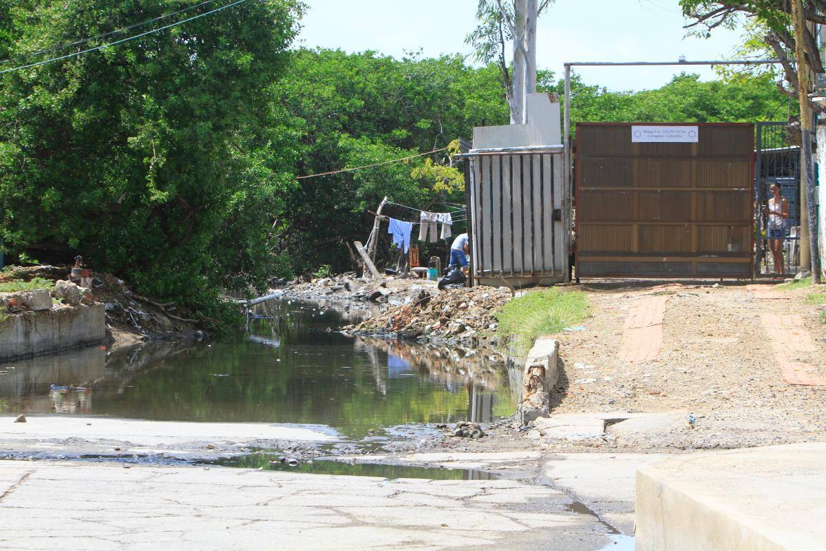 Quejas por invasión de un canal y corte de mangles en Manga
