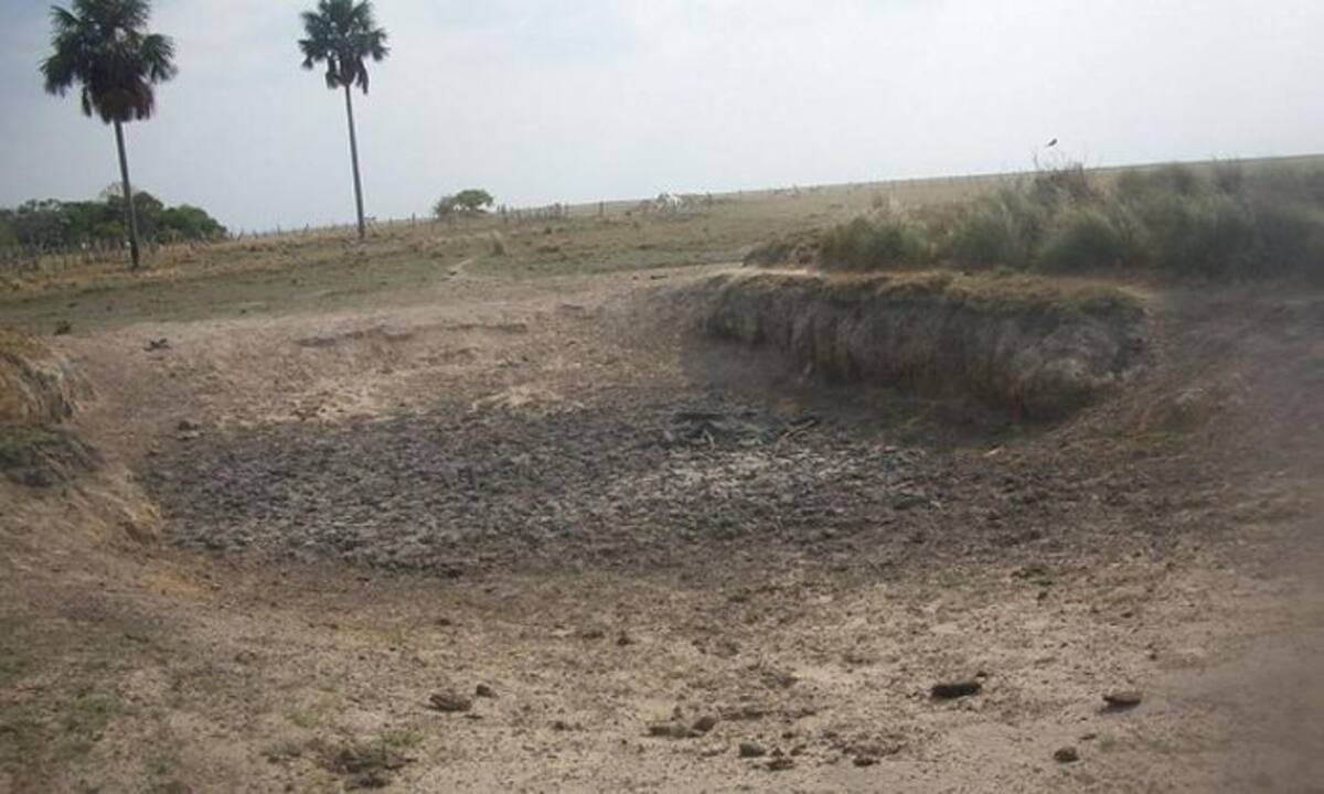 Según los reportes dados este jueves por el secretario de agricultura, ganadería y medio ambiente de Casanare, Alexi Yesid Duarte, ya van cerca de 20 mil animales muertos, siendo los chigüiros la especie más afectada. Cortesía Gobernación de Casanare