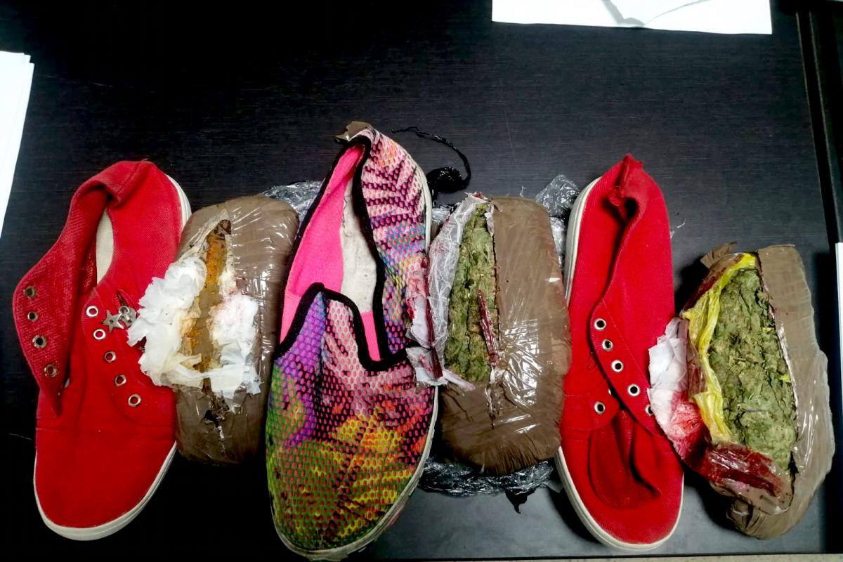 Dos perros descubrieron 8.000 gramos marihuana camuflada en zapatos