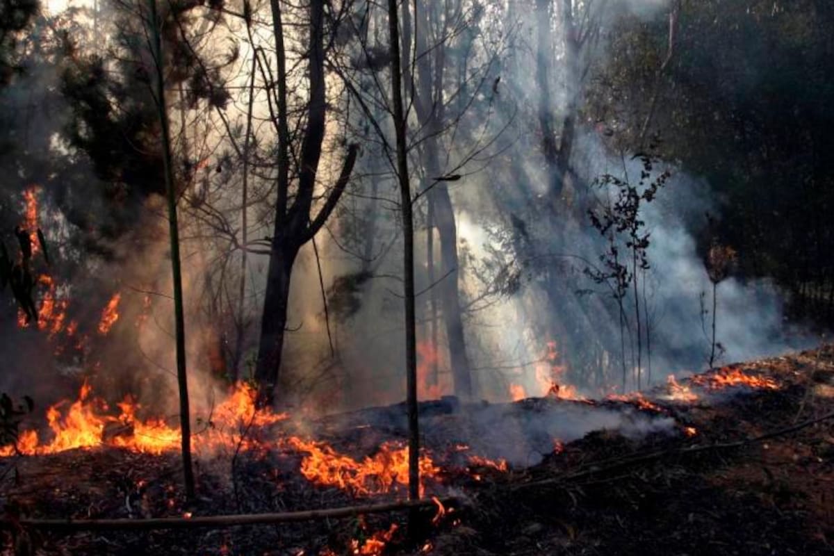 Se mantienen las llamas en cerros orientales y Galán se encomienda al viento