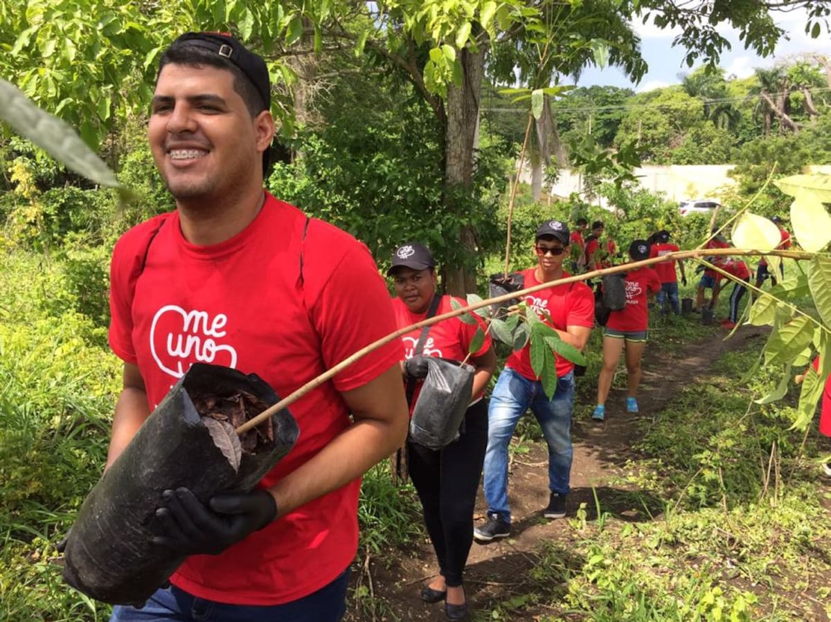 En la jornada participaron casi 800 voluntarios. Cortesía