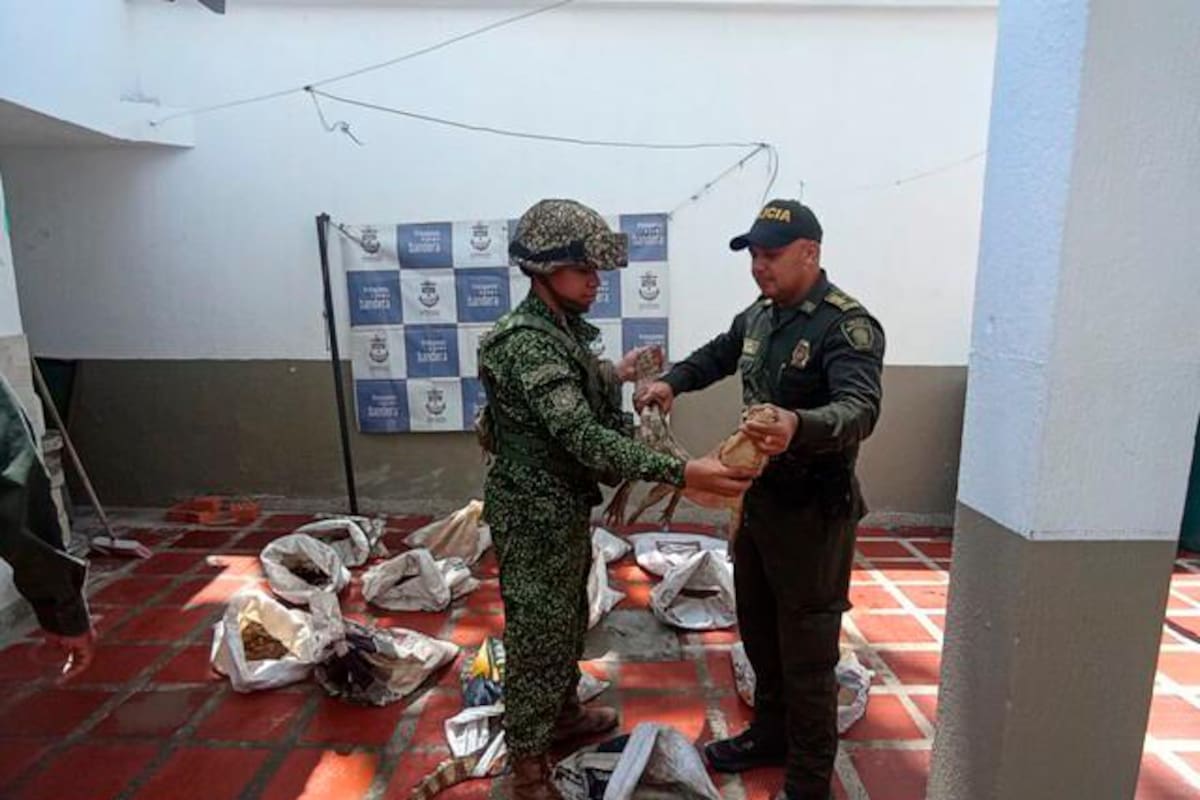 La Armada rescató a 105 babillas que se comercializarían ilegalmente