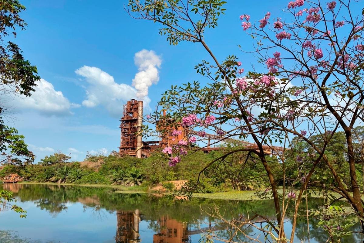Otorgan nueva licencia ambiental a Cerro Matoso