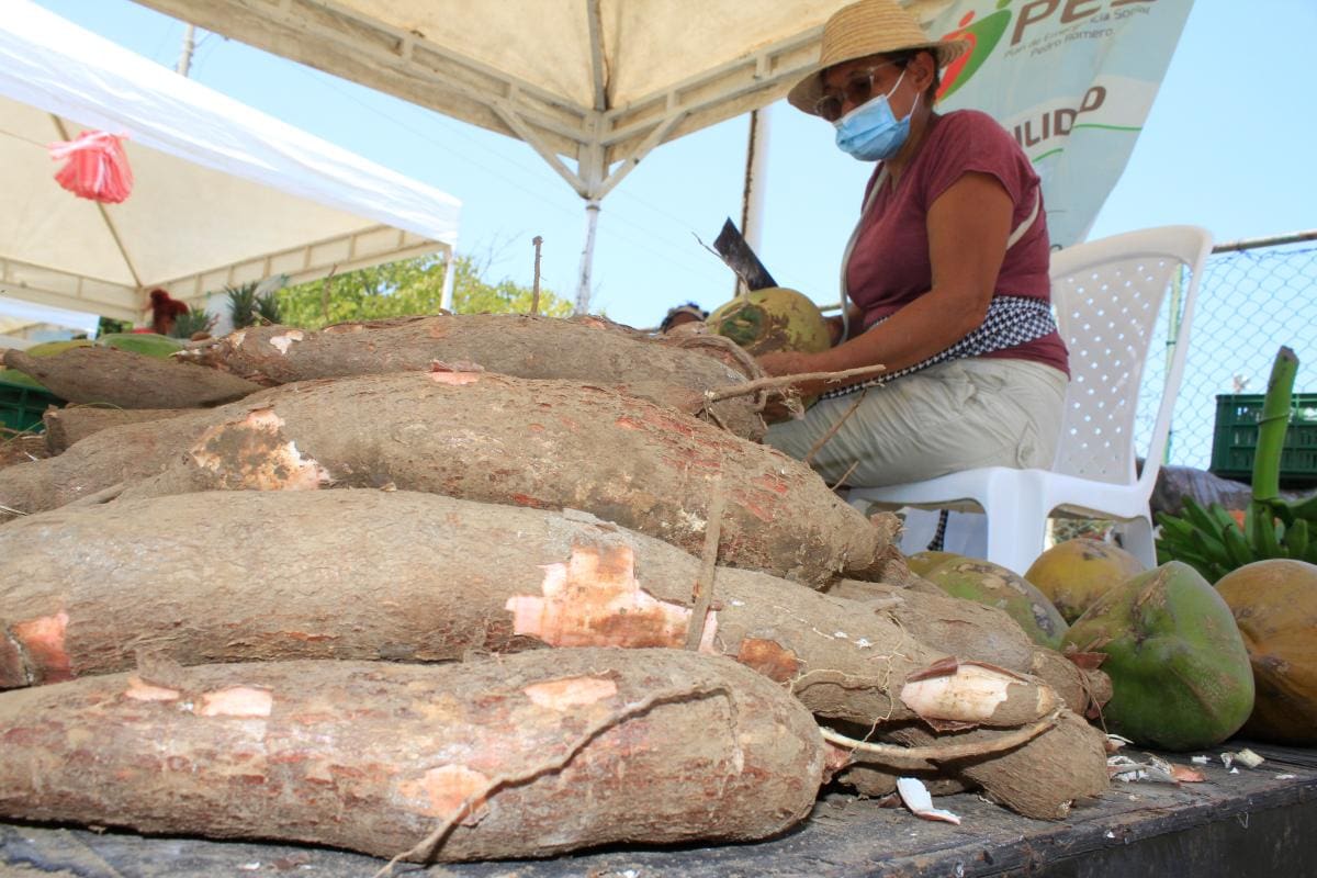 El Carmen de Bolívar, escenario de negocios agrícolas