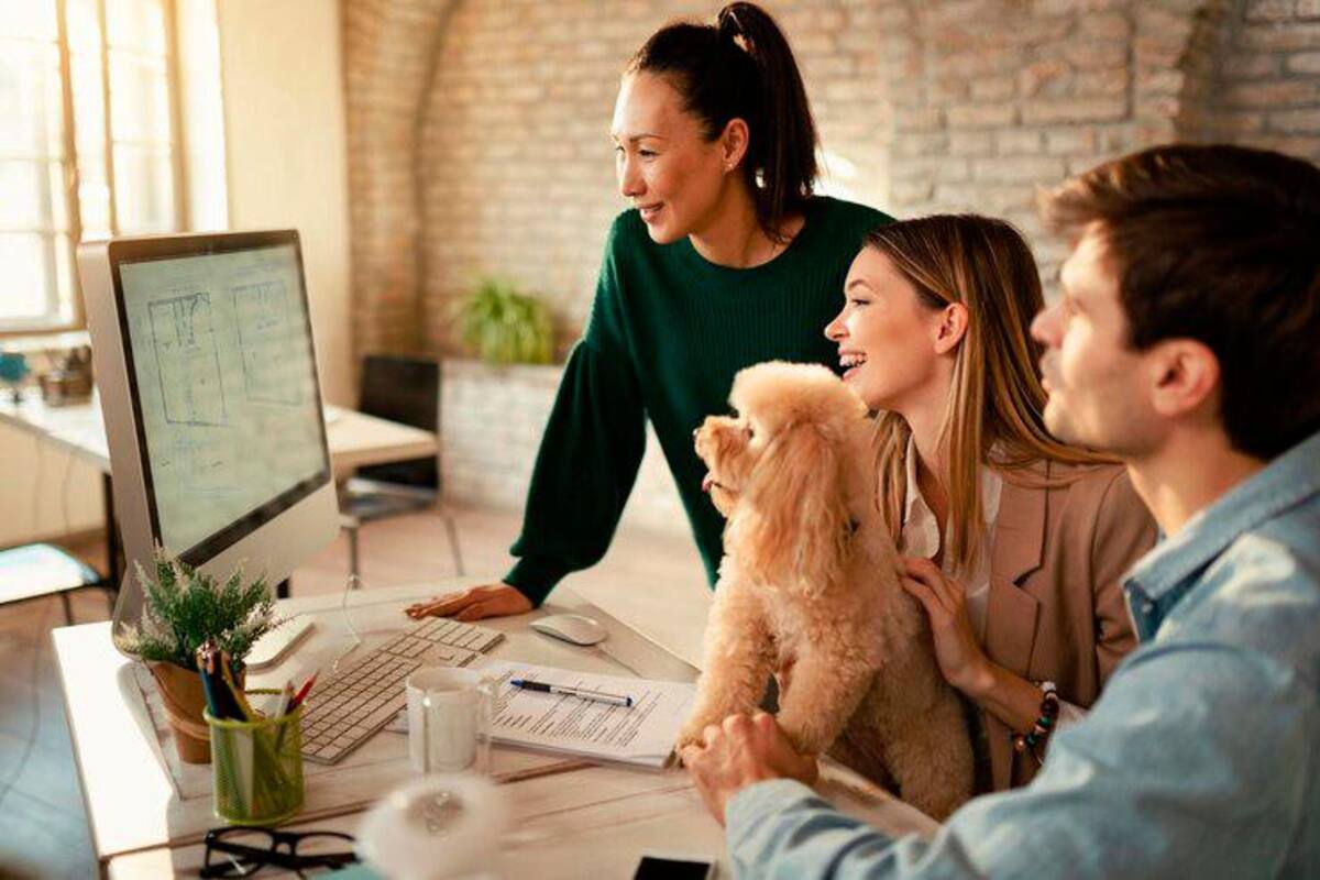 Espacios de trabajo pet friendly mejoran la productividad