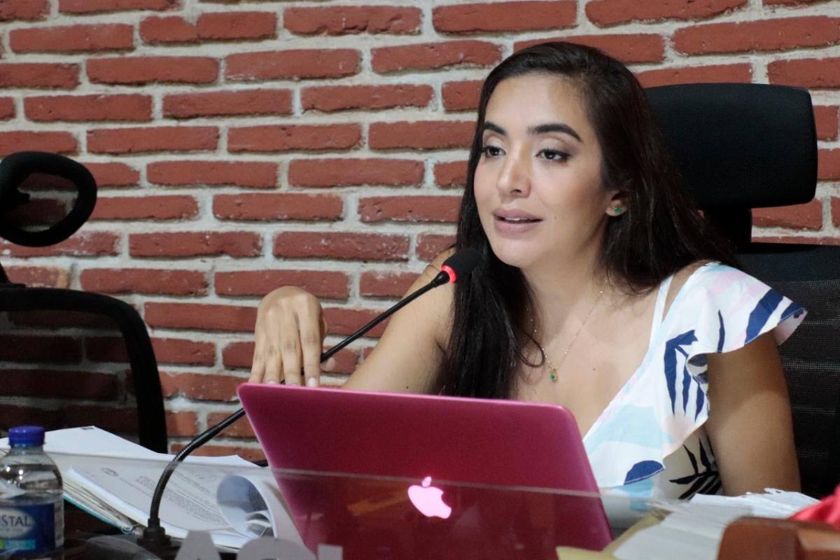 ¿En beneficio de quién? Concejo aprobó proyecto por $17.406 millones