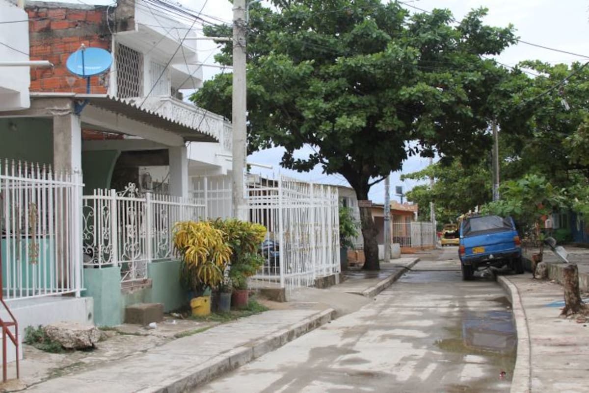 La casa de la que se cayó en el árbol queda en la calle 52 de Torices. DANIELA BUELVAS - EL UNIVERSAL