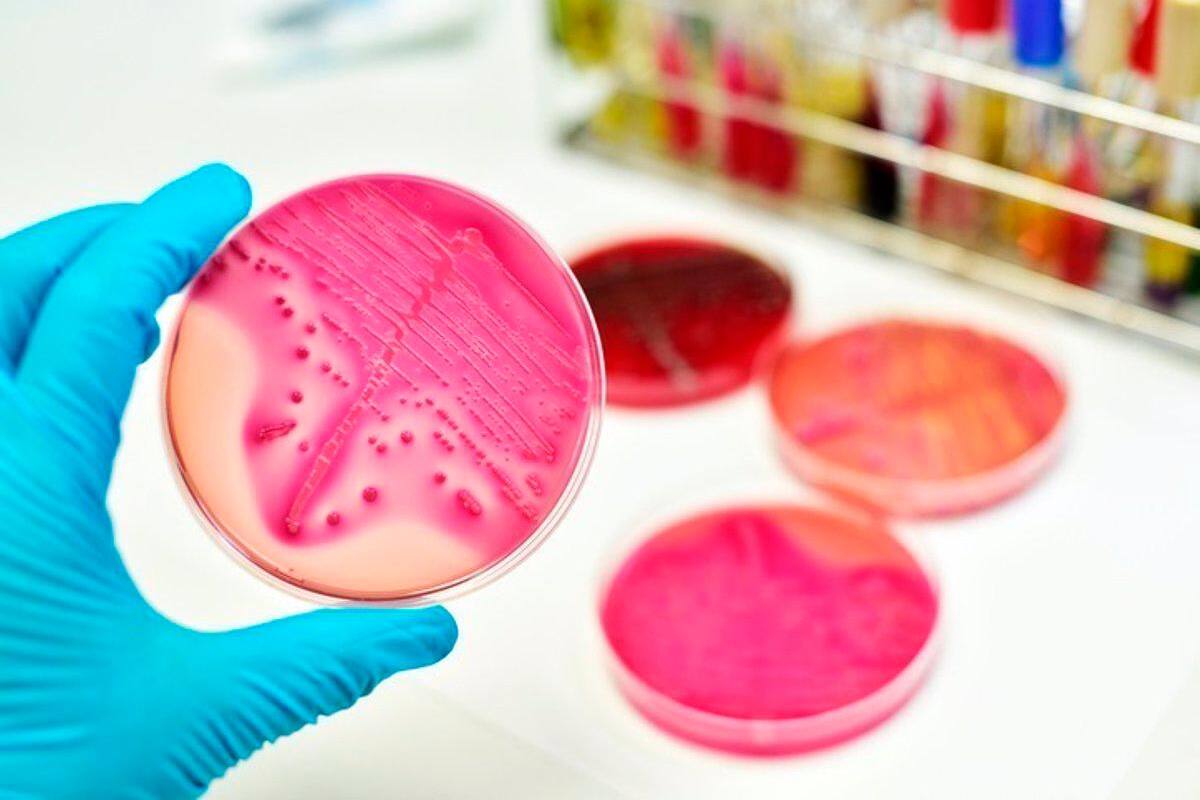 El efecto del cambio climático en las enfermedades infecciosas