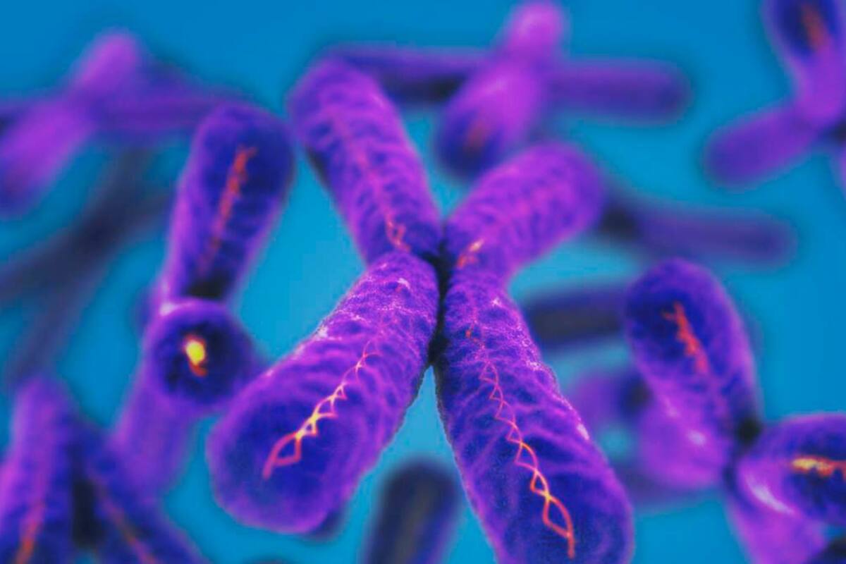 Descubren la clave para regenerar cualquier célula del cuerpo