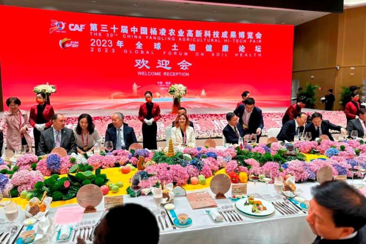 ¡Qué buena noticia! Ganaderos de Colombia exportarán carne a China
