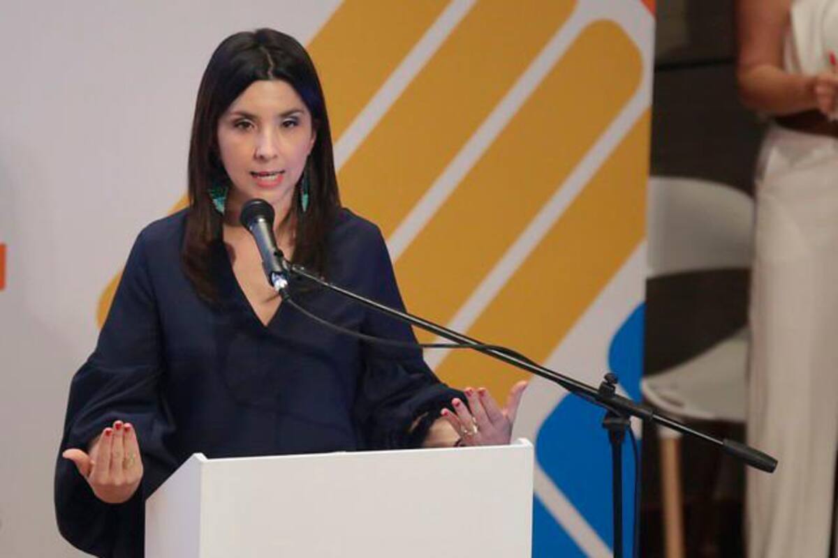Ministra de educación explica beneficios de la Reforma Tributaria para el sector