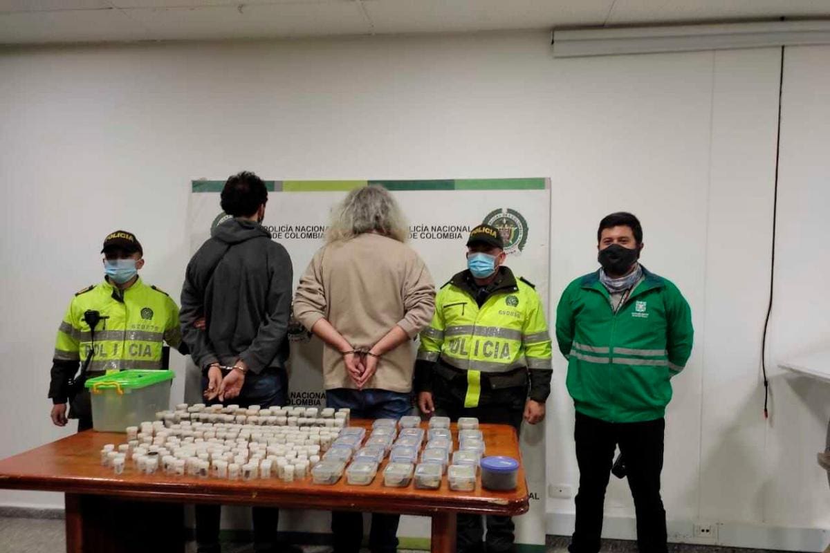Incautan en El Dorado 232 tarántulas, un escorpión con 7 crías y 67 cucarachas