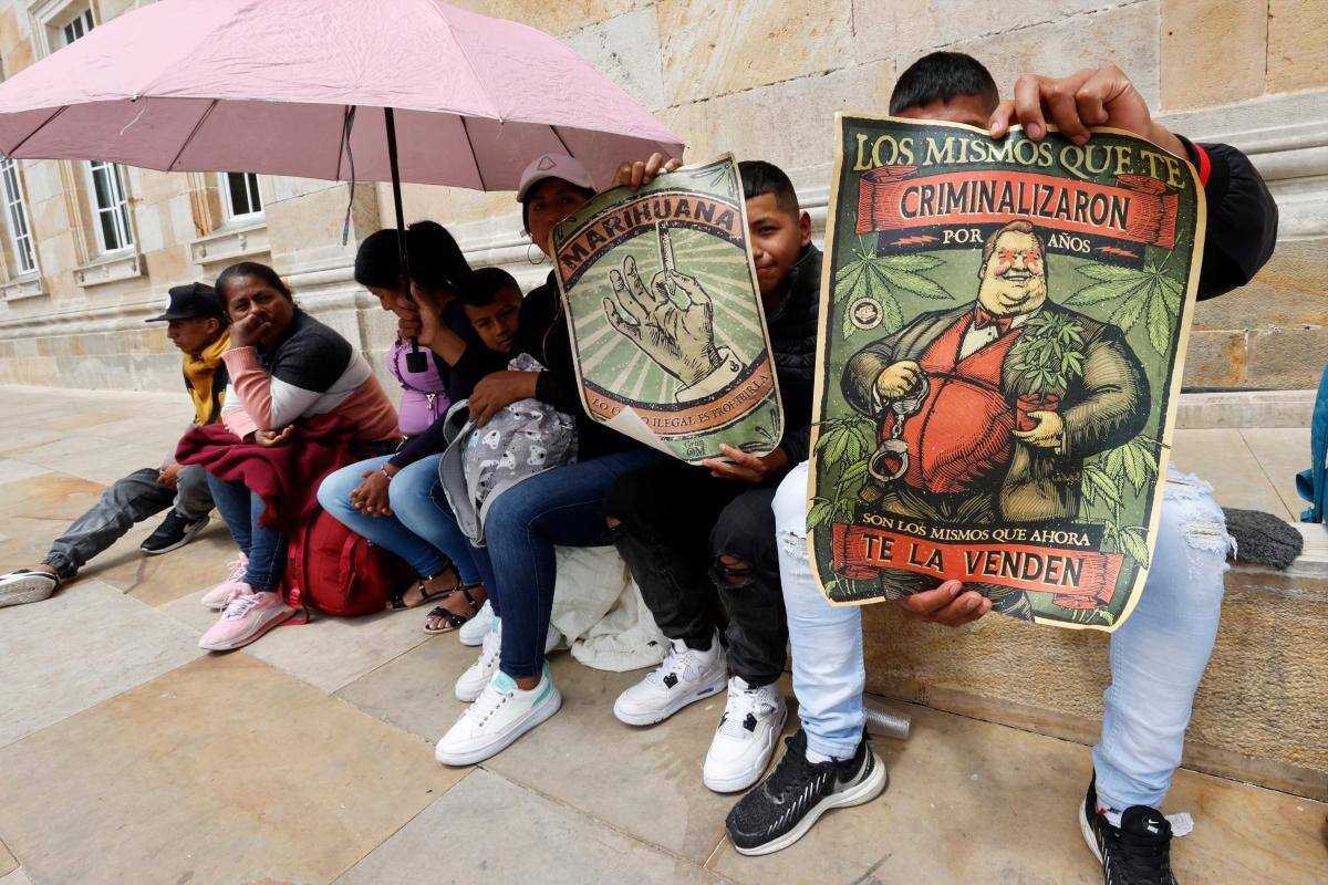 Atención: se hundió el proyecto para la regulación del cannabis de uso adulto
