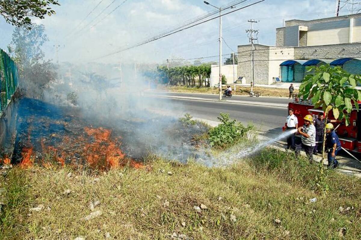 Los incenedios forestales se han incrementado en el presente mes en Sincelejo.