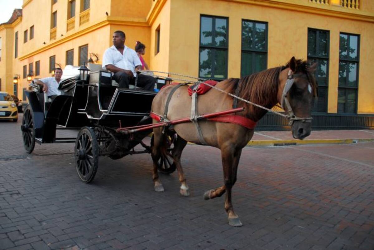 El paseo en coche por el Centro Histórico es un atractivo turístico en Cartagena. Aroldo Mestre-El Universal