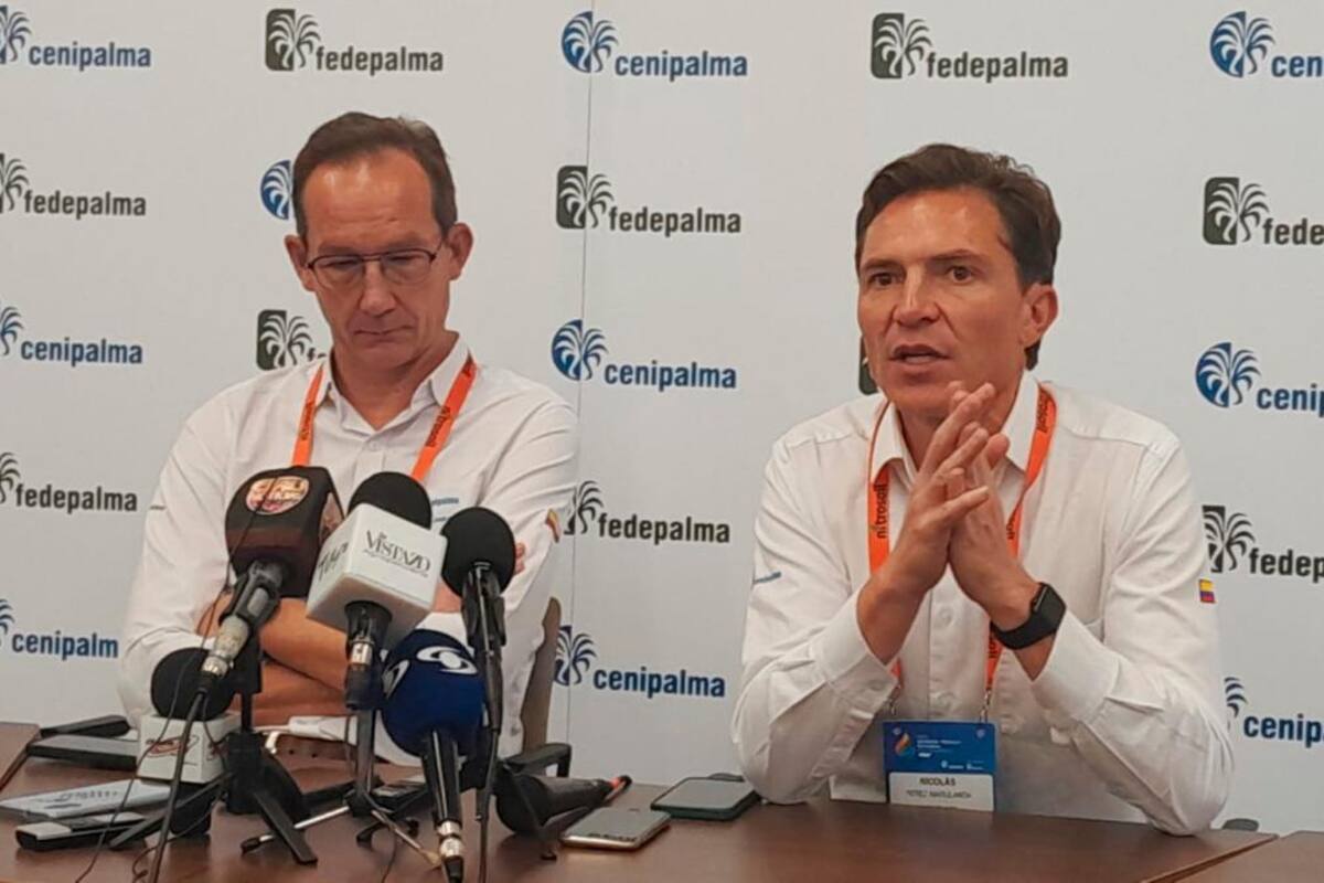 Cambio climático y productividad, dos de los retos de la palmicultura