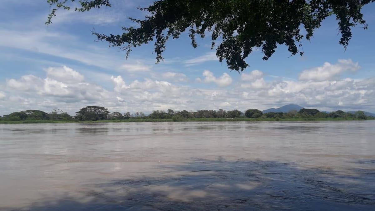 Hasta el cierre de la edición, el río Cauca permanecía con su caudal normal, pero hay vigilancia constante por la posibilidad de un aumento súbito. Cortesía