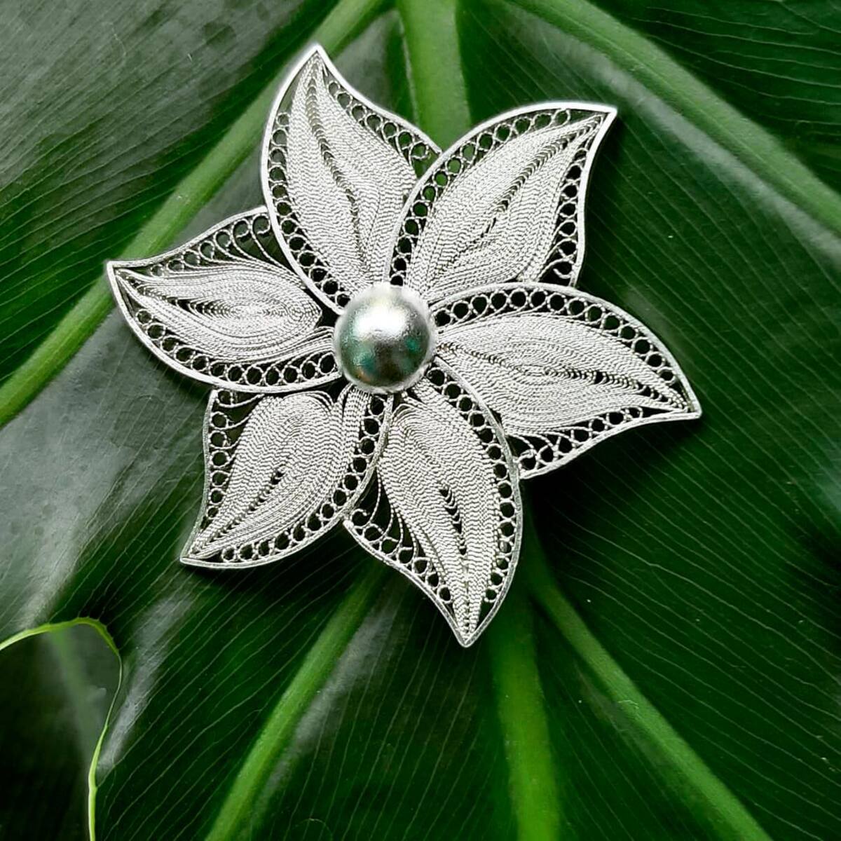 La filigrana momposina es apetecida en todas las regiones del país.