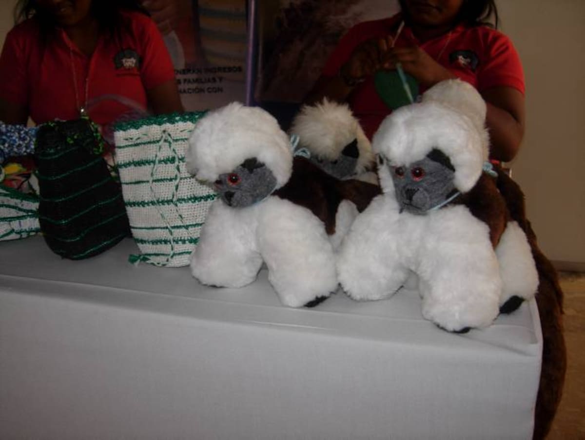 Titís de peluche se venden también como una forma de crear conciencia sobre esta especie.