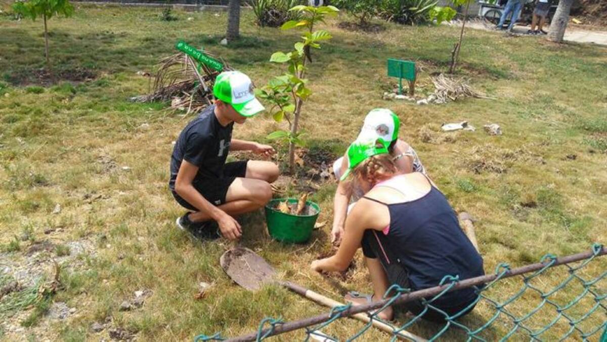 Facebook Huerta Terra Sana