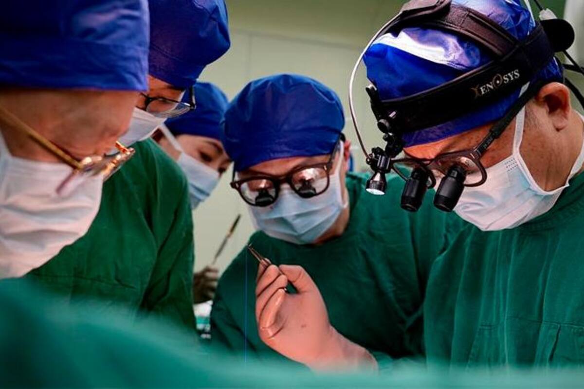 Transplantan riñón de cerdo modificado genéticamente de cerdo a humano