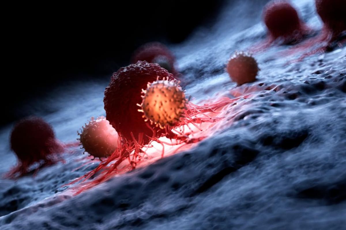 Descubrimiento: células “hibernan” para sobrevivir a la quimioterapia