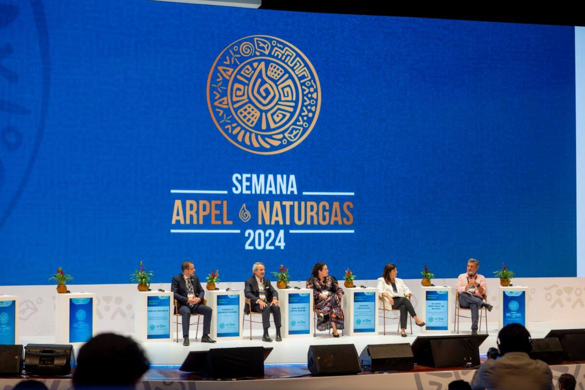 “Ecopetrol es y seguirá siendo una compañía de hidrocarburos”