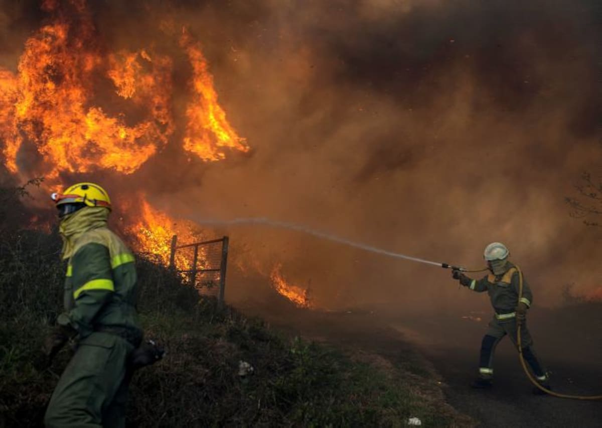 Los incendios forestales en Portugal y España han dejado al menos 31 muertos, decenas de heridos y un número indeterminado de desaparecidos. EFE Lavandeira jr