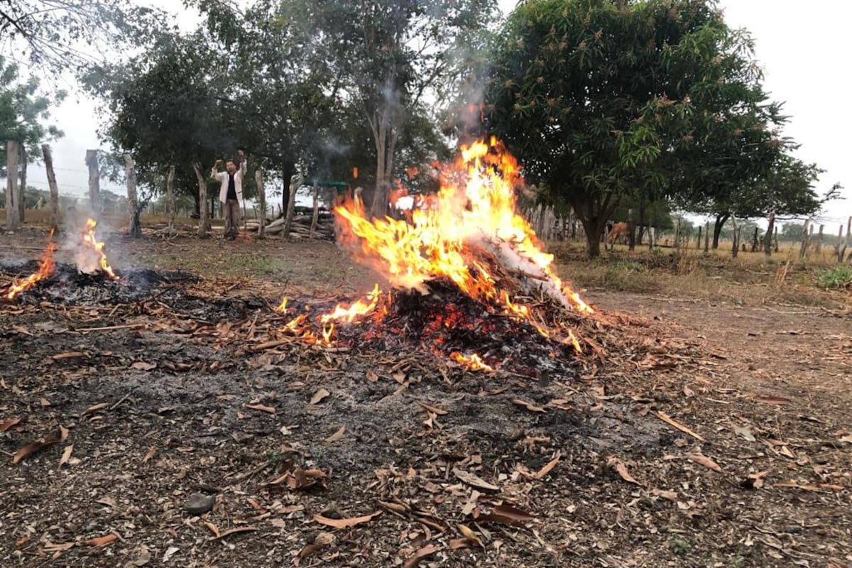 9 municipios del Atlántico en alerta roja por incendios forestales