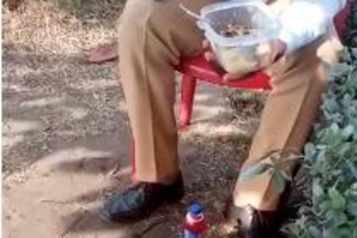 Video: Conductores de Transcaribe se quejan por “tener que comer entre ratas”